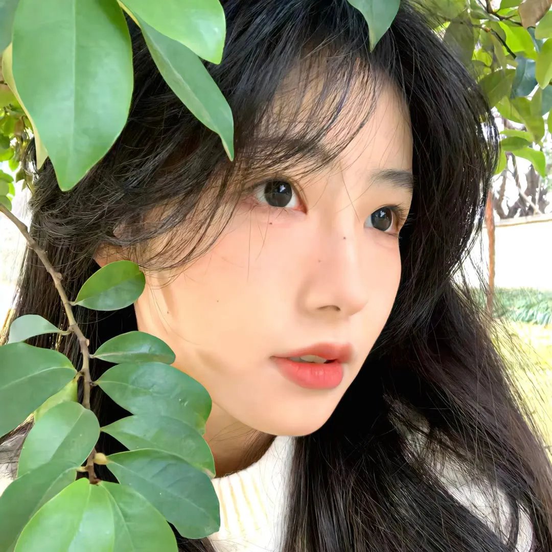 碧眼花豹